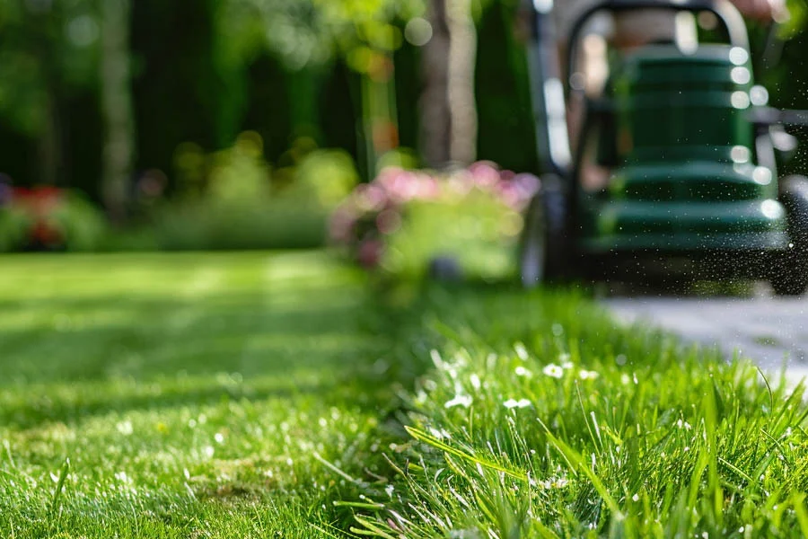 the best battery powered lawn mower