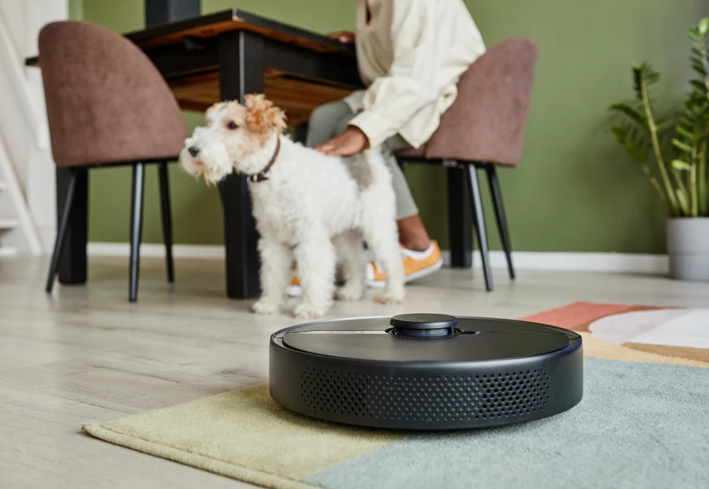 affordable robot vacuum cleaner